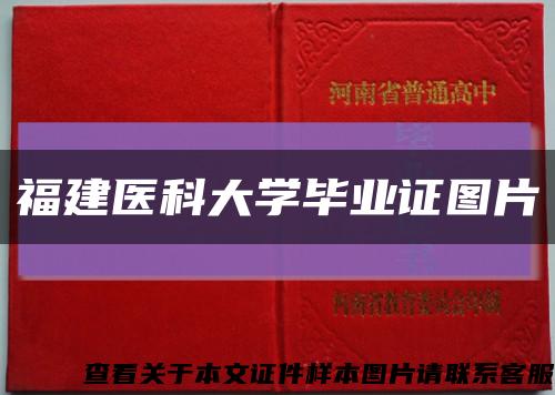 福建医科大学毕业证图片缩略图