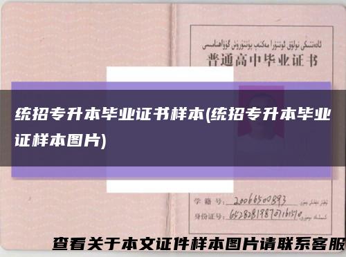 统招专升本毕业证书样本(统招专升本毕业证样本图片)缩略图