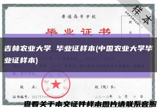 吉林农业大学 毕业证样本(中国农业大学毕业证样本)缩略图
