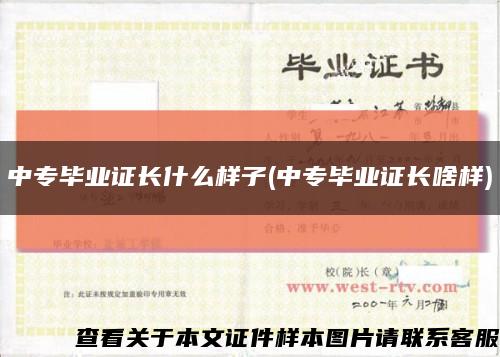 中专毕业证长什么样子(中专毕业证长啥样)缩略图