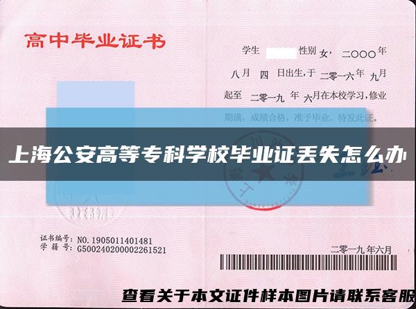 上海公安高等专科学校毕业证丢失怎么办缩略图