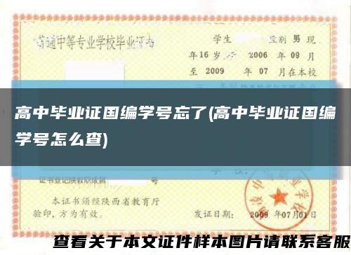 高中毕业证国编学号忘了(高中毕业证国编学号怎么查)缩略图