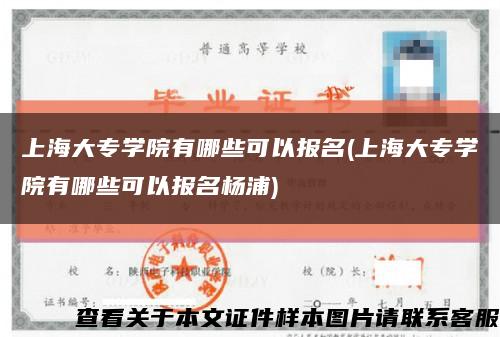 上海大专学院有哪些可以报名(上海大专学院有哪些可以报名杨浦)缩略图