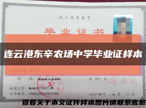 连云港东辛农场中学毕业证样本缩略图