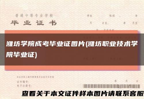 潍坊学院成考毕业证图片(潍坊职业技术学院毕业证)缩略图