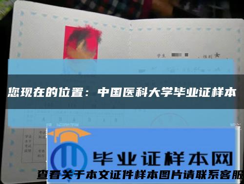 您现在的位置：中国医科大学毕业证样本缩略图