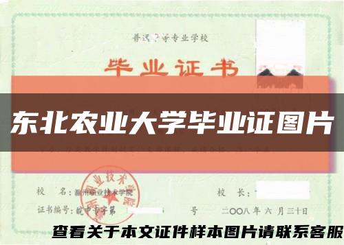 东北农业大学毕业证图片缩略图
