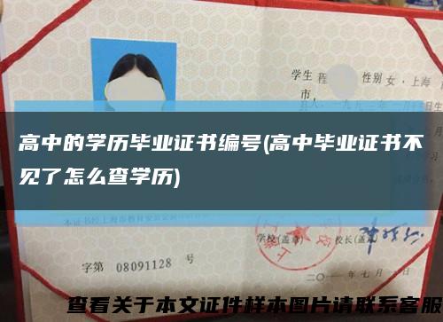 高中的学历毕业证书编号(高中毕业证书不见了怎么查学历)缩略图