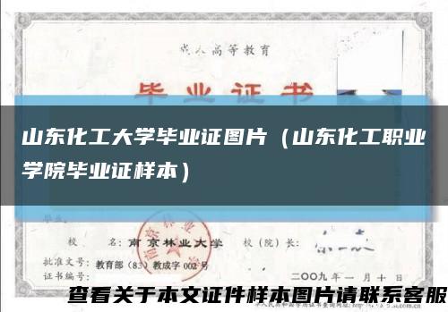 山东化工大学毕业证图片（山东化工职业学院毕业证样本）缩略图