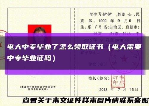 电大中专毕业了怎么领取证书（电大需要中专毕业证吗）缩略图