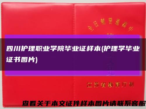 四川护理职业学院毕业证样本(护理学毕业证书图片)缩略图