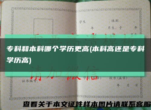 专科和本科哪个学历更高(本科高还是专科学历高)缩略图