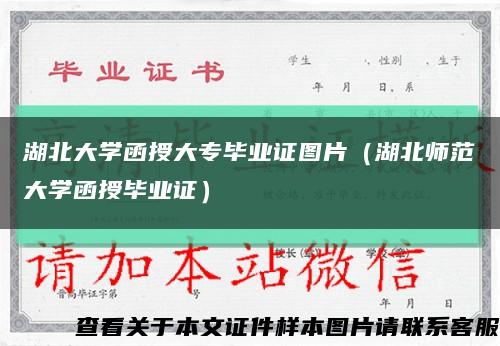 湖北大学函授大专毕业证图片（湖北师范大学函授毕业证）缩略图