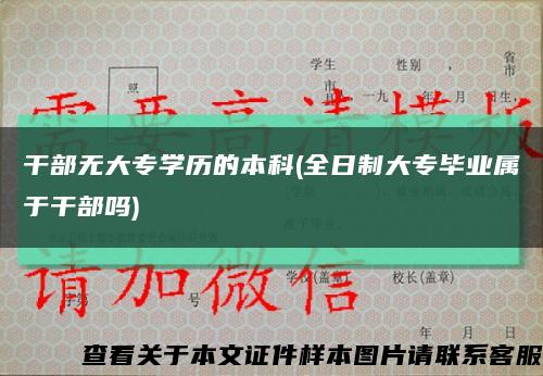 干部无大专学历的本科(全日制大专毕业属于干部吗)缩略图