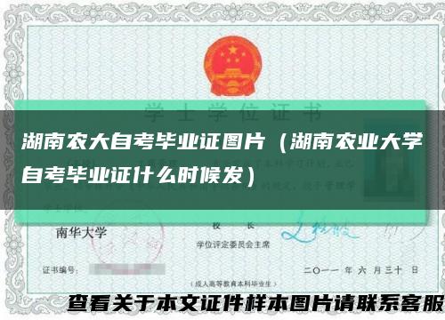 湖南农大自考毕业证图片（湖南农业大学自考毕业证什么时候发）缩略图