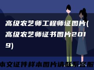 高级农艺师工程师证图片(高级农艺师证书图片2019)缩略图