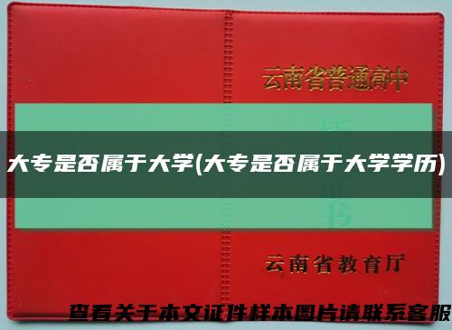 大专是否属于大学(大专是否属于大学学历)缩略图