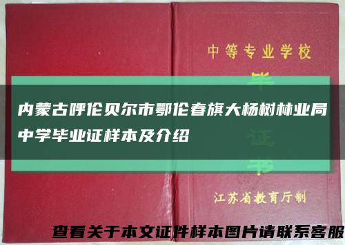 内蒙古呼伦贝尔市鄂伦春旗大杨树林业局中学毕业证样本及介绍缩略图