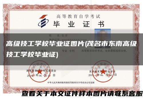 高级技工学校毕业证图片(茂名市东南高级技工学校毕业证)缩略图