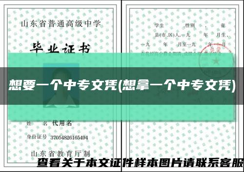 想要一个中专文凭(想拿一个中专文凭)缩略图