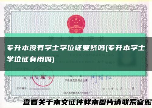 专升本没有学士学位证要紧吗(专升本学士学位证有用吗)缩略图