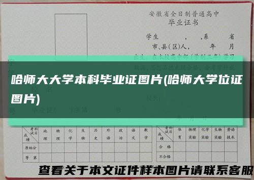 哈师大大学本科毕业证图片(哈师大学位证图片)缩略图