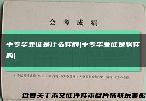 中专毕业证是什么样的(中专毕业证是啥样的)缩略图