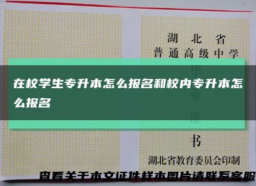 在校学生专升本怎么报名和校内专升本怎么报名缩略图