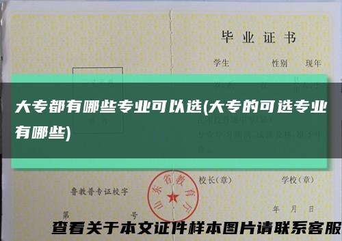 大专都有哪些专业可以选(大专的可选专业有哪些)缩略图