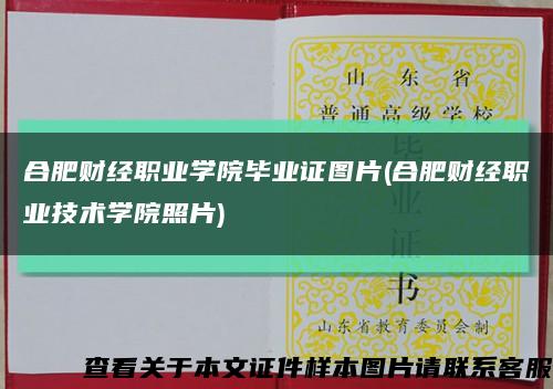合肥财经职业学院毕业证图片(合肥财经职业技术学院照片)缩略图
