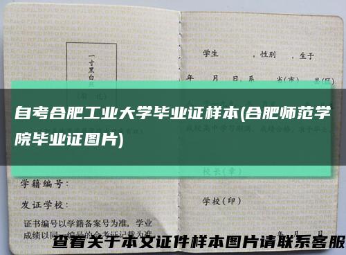 自考合肥工业大学毕业证样本(合肥师范学院毕业证图片)缩略图