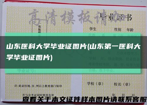 山东医科大学毕业证图片(山东第一医科大学毕业证图片)缩略图