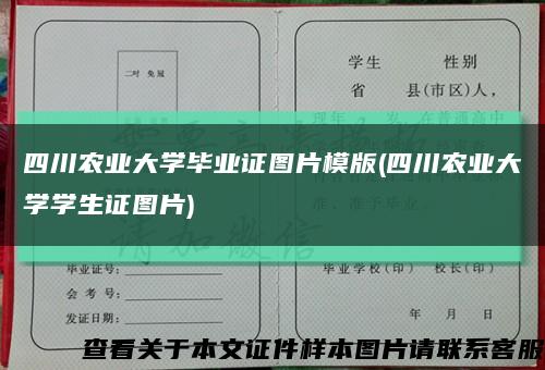 四川农业大学毕业证图片模版(四川农业大学学生证图片)缩略图