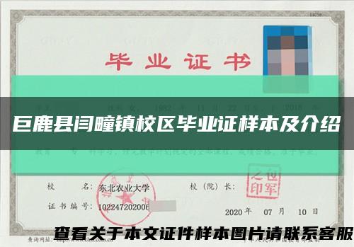 巨鹿县闫疃镇校区毕业证样本及介绍缩略图