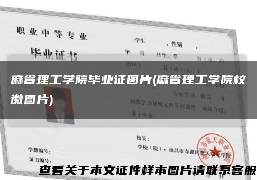 麻省理工学院毕业证图片(麻省理工学院校徽图片)缩略图