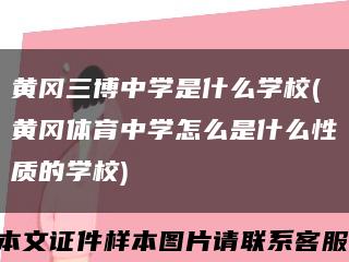 黄冈三博中学是什么学校(黄冈体育中学怎么是什么性质的学校)缩略图