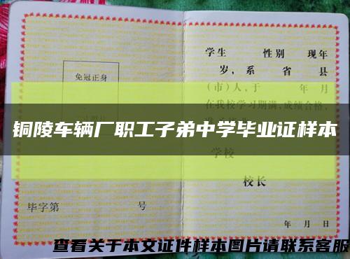 铜陵车辆厂职工子弟中学毕业证样本缩略图