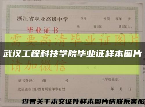 武汉工程科技学院毕业证样本图片缩略图