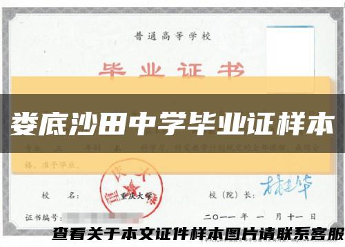 娄底沙田中学毕业证样本缩略图