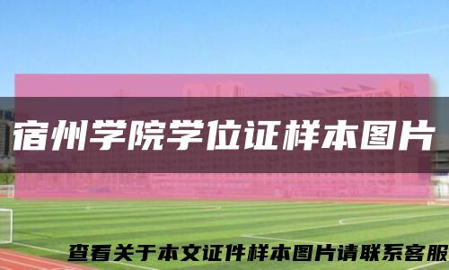 宿州学院学位证样本图片缩略图