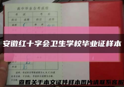 安徽红十字会卫生学校毕业证样本缩略图