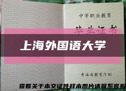 上海外国语大学缩略图
