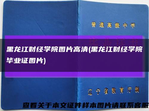 黑龙江财经学院图片高清(黑龙江财经学院毕业证图片)缩略图