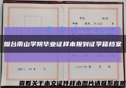 烟台南山学院毕业证样本报到证学籍档案缩略图
