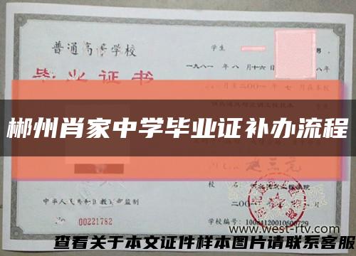 郴州肖家中学毕业证补办流程缩略图
