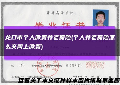 龙口市个人缴费养老保险(个人养老保险怎么交网上缴费)缩略图