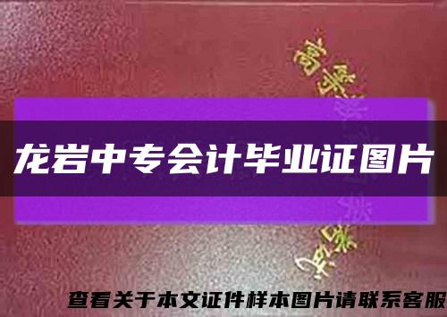 龙岩中专会计毕业证图片缩略图