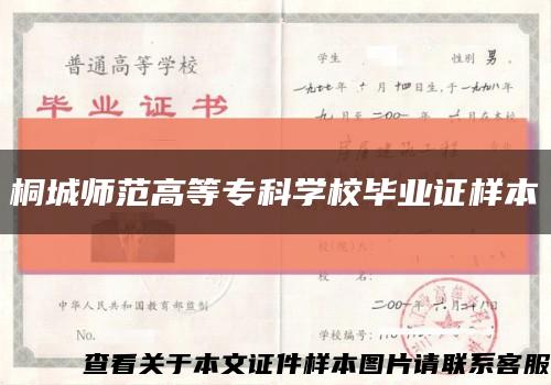 桐城师范高等专科学校毕业证样本缩略图