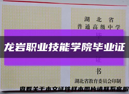 龙岩职业技能学院毕业证缩略图