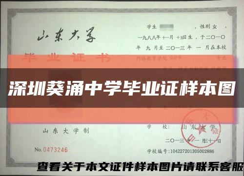 深圳葵涌中学毕业证样本图缩略图